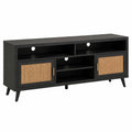 TV-Schrank Holz Schwarz Rattan T¨¹ren 120cm